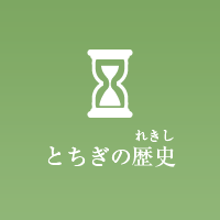 栃木県の歴史