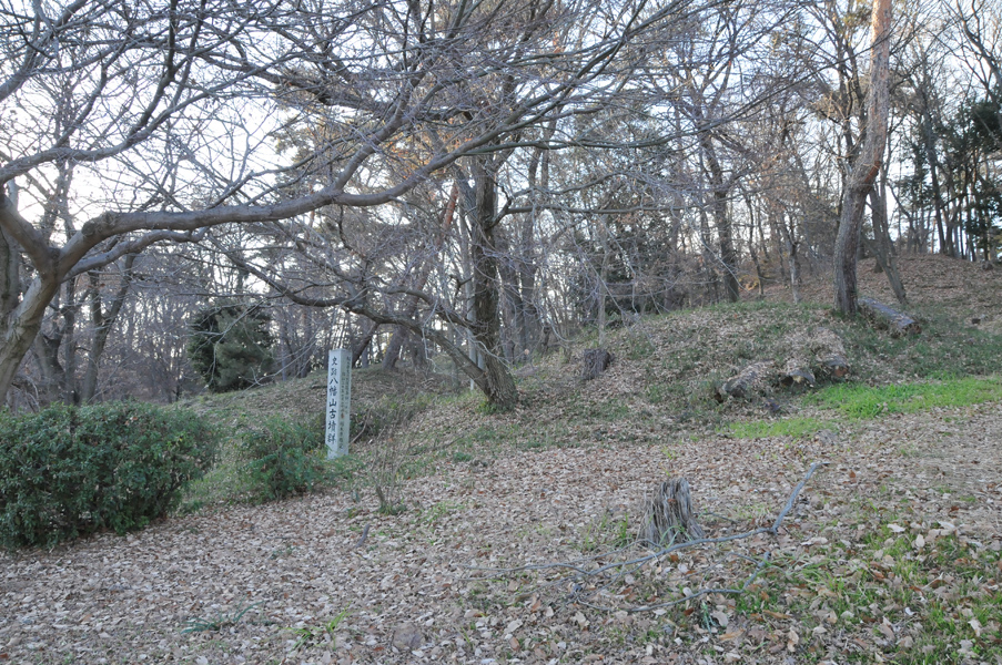 八幡山古墳群