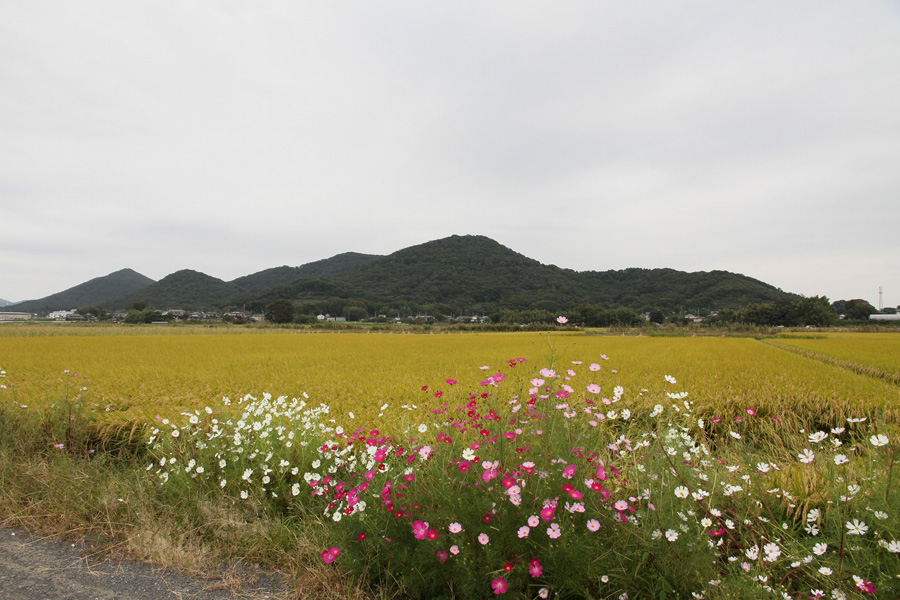 三毳山