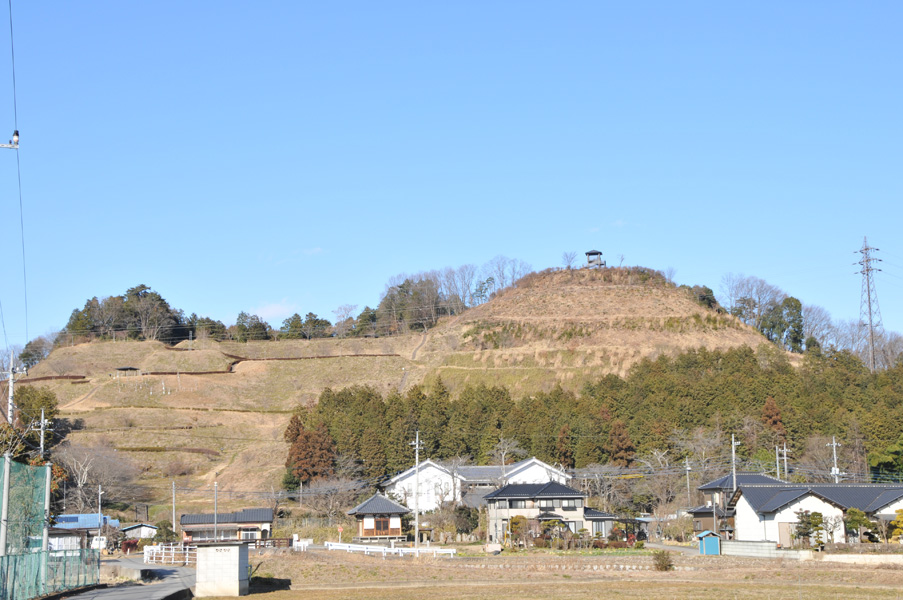 皆川城跡