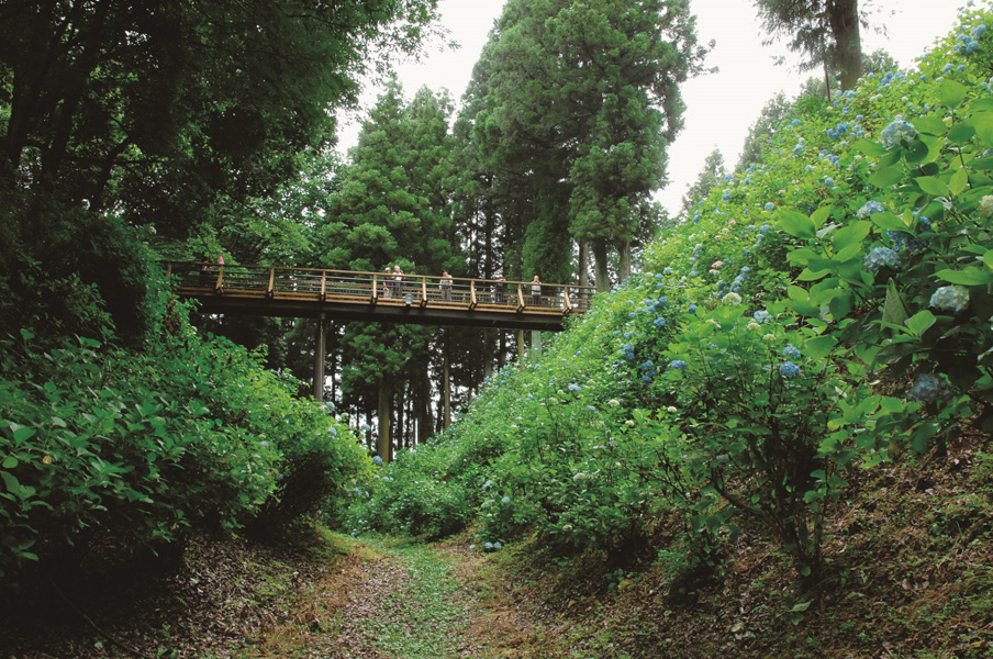 黒羽城跡